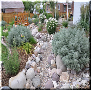 Dry Creek Beds